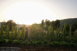 Yasmina Zaher surveys the crops